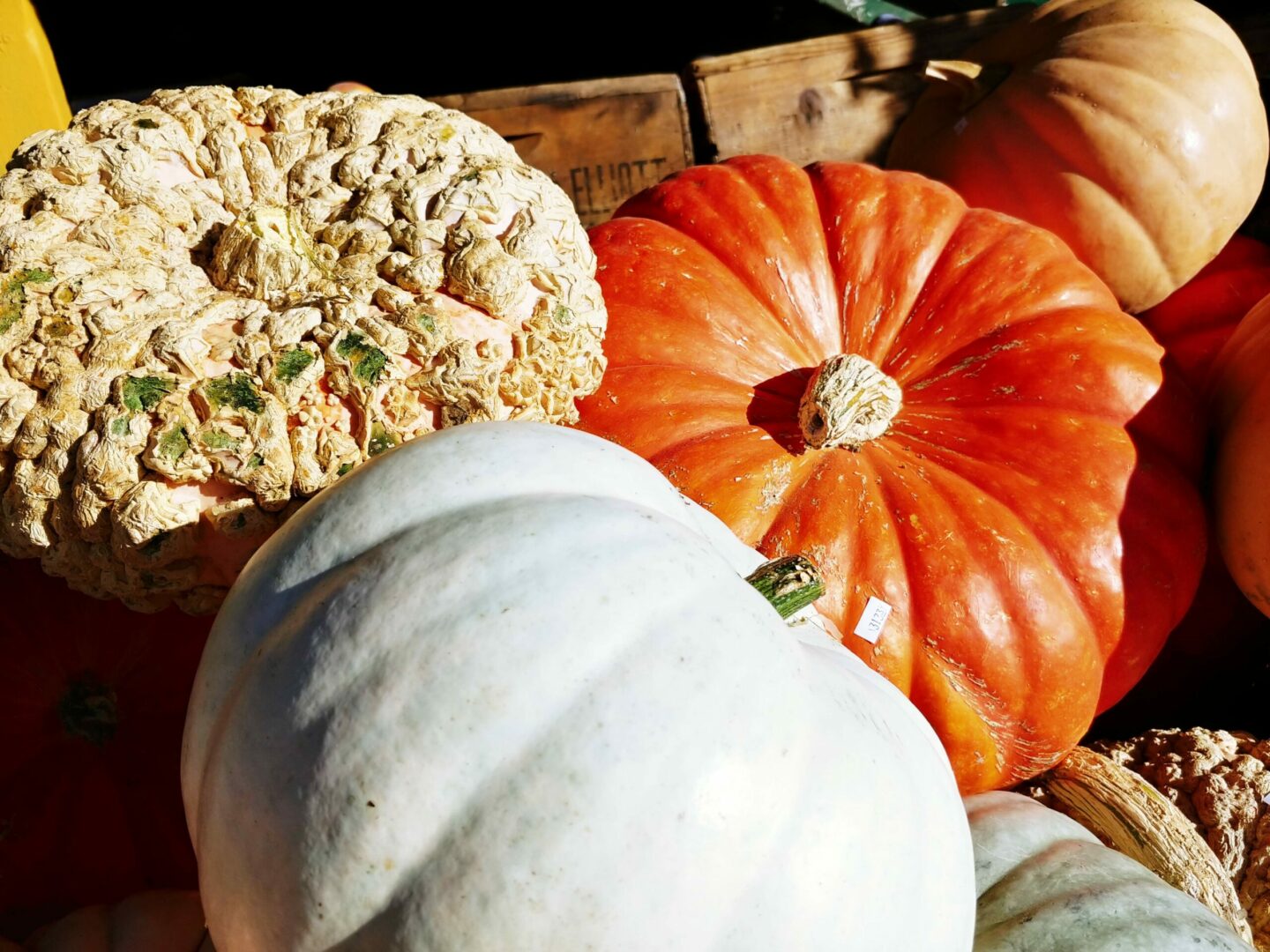 Cooking Pumpkins - Dan The Produce Man