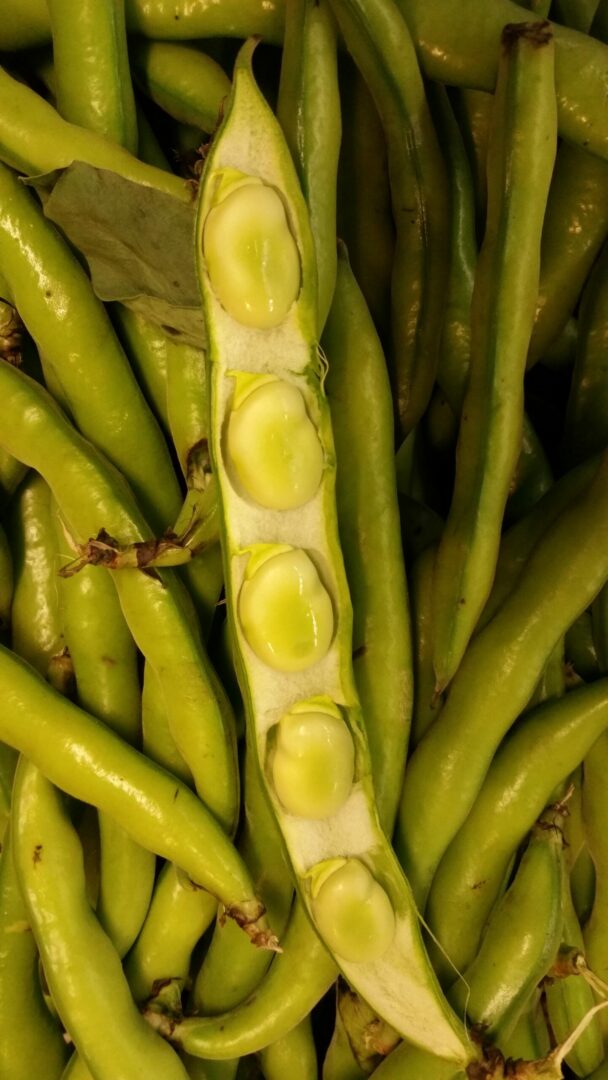 Fava Beans - Dan the Produce Man