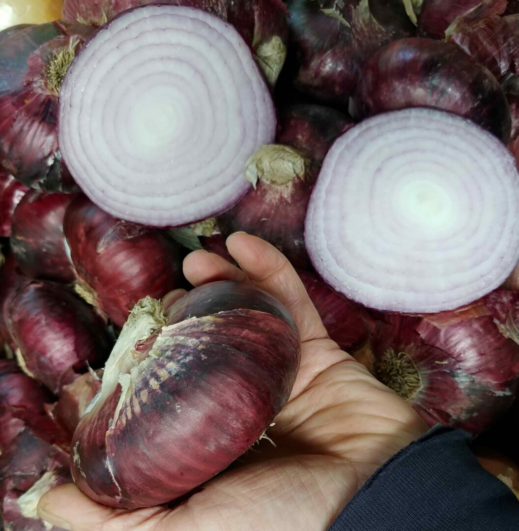 Italian Sweet Red Onions - Dan the Produce Man